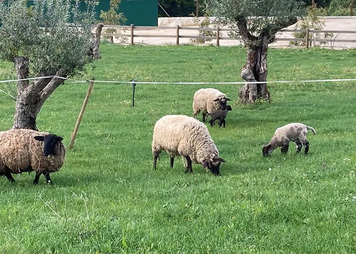 Jardins Do Barao Leiria